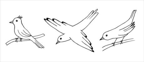 handgezeichneter schwarzer Umrissvektorsatz einfacher kleiner Vögel einzeln auf weißem Hintergrund, sitzend auf einem Ast, im Flug. vektor