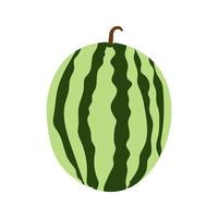 vektorillustration einer ganzen saftigen sommerwassermelone. vektor