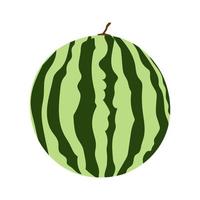 vektor illustration av en hel saftig sommar vattenmelon.