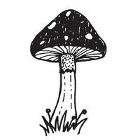 vektor svamp illustration. svart bläck mashroom skiss på en vit bakgrund