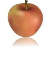 illustration av äpple vektor