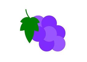 Abbildung der Weintrauben. Vektorsymbol für lila Trauben. vektor