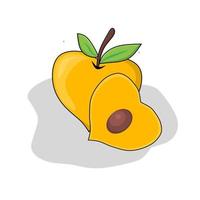 Illustration der Aprikosenfrucht. Aprikosenfruchtsymbol, Früchte. vektor