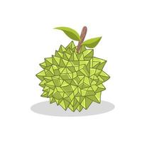 durian frukt illustration bild. durian frukt ikon .fruits vektor