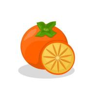 persimmon frukt illustration .persimmon frukt icon.fruits vektor