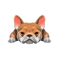 fransk buldog lowpoly stil vektor illustration vektor design