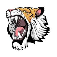 tiger roar vektor illustration design