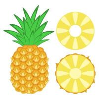 Ananas-Set - ganze und ringförmige tropische Früchte vektor