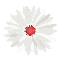 Daisy Flower Head Vektornatur, Pflanzen, Frühlingsdesign. bunte blume lokalisiert auf weiß, flache blumenmusterelemente vektor