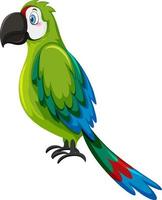 papegoja fågel i tecknad stil vektor