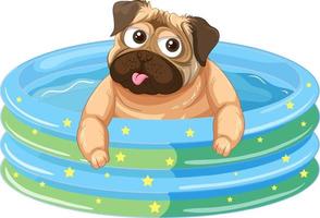 ein mopshund im aufblasbaren pool-cartoon vektor