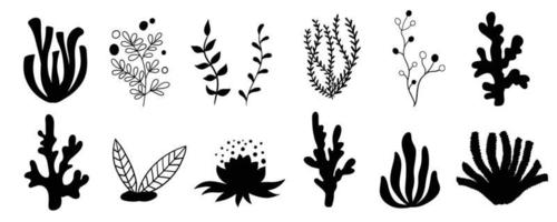 Set Meerespflanzen, Korallen und Algen. Silhouetten von Unterwasserriffpflanzen. Vektor im Cartoon-Stil.