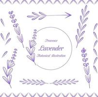 vektor. uppsättning lavendel blommor element. botanisk illustration. samling av purpur lavendelblommor på en vit bakgrund. lavendel handritad. lavendel blommor isolerad på vit bakgrund. vektor