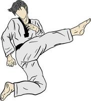 Taekwondo-Vektor-Kick-Pose und -Technik vektor