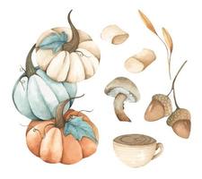 akvarell hösten element samling. vektor
