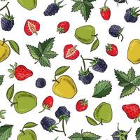 nahtloser Hintergrund mit Früchten - Erdbeere, Brombeere, Apfel vektor