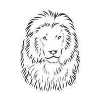 Löwe-Tier-Vektorskizze vektor