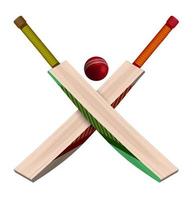 gekreuzte Holzschläger und ein lederner roter Cricketball im realistischen Stil auf weißem Hintergrund. Teamsport im Sommer. Vektor auf weißem Hintergrund