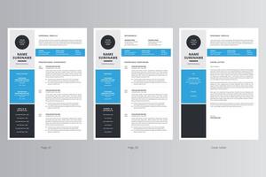 professionell CV och mall för personligt brev. pro vektor