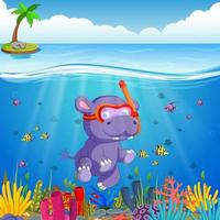 Hippo Schnorcheln im Unterwassermeer vektor