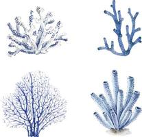 satz blaue korallen auf einem weißen hintergrund, aquarellillustration. vektor