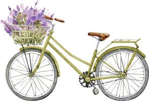 cykel med en korg med lavendelblommor, akvarellillustration. vektor