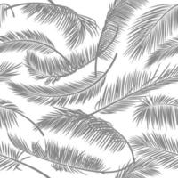 Nahtloses Muster aus Palmblättern auf weißem, isoliertem Hintergrund. Vektorhintergrund für Tapeten, Karten, Textilien, Stoffe, Kleidung, Druckdesign. tropisches Muster. vektor