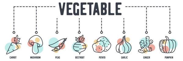 vegetarisches Gemüse-Banner-Web-Symbol. Karotten, Pilze, Erbsen, Rote Beete, Kartoffeln, Knoblauch, Ingwer, Kürbisvektorillustrationskonzept. vektor