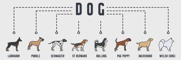 Hund-Banner-Web-Symbol. Samoyed, Retriever, Boxer, Husky, Beagle, Pointer, Doggen, Dobermann-Vektorillustrationskonzept.