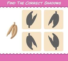 Finden Sie die richtigen Schatten von Cartoon-Maniok. Such- und Zuordnungsspiel. Lernspiel für Kinder und Kleinkinder im Vorschulalter vektor