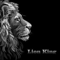 Porträt eines Löwen, Löwe im Dunkeln, Abbildung abstrakt. Vektor. Folge