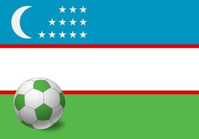 Usbekistan-Flagge und Fußball vektor