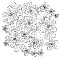 vektorumrissblumenillustration, polianthes tuberosa farbseite, florale handzeichnungsillustration für design und kreativität vektor