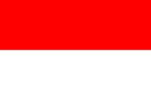 flache illustration der indonesischen flagge vektor