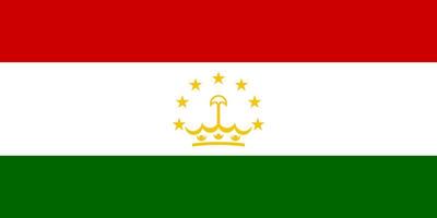 flache illustration der tadschikistan-flagge vektor