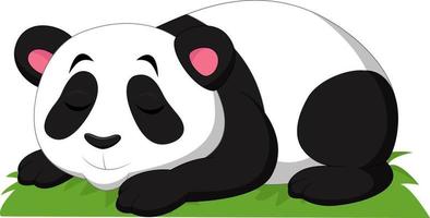 tecknad panda sover isolerad på vit bakgrund vektor