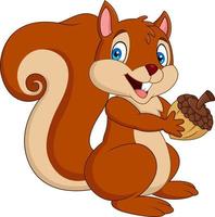 Cartoon-Eichhörnchen mit einer Eichel vektor