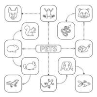 husdjur tankekarta med linjära ikoner. husdjur konceptschema. ödla, guldfisk, leguan, chinchilla, groda, tvättbjörn, orm, snigel, dvärgkanin, schäfer, kavy. isolerade vektor illustration