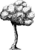 skiss ritning av ett träd. vektor