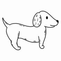 süßer Hund auf weißem Hintergrund. Vektor-Doodle-Illustration. Malbuch für Kinder. Haustier. vektor