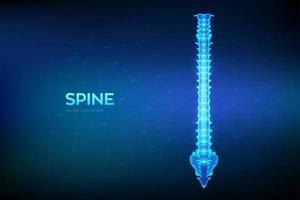 Wirbelsäule. rückenschmerzen wirbelsäulenbehandlung, physiotherapie, diagnostikkonzept. abstraktes niedriges polygonales Drahtgitterorgan für Arzneimittel, Pharmazie und Bildungsdesign. Vektor-Illustration. vektor
