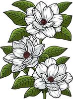 magnolia blomma tecknad färgad clipart vektor