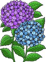 hortensia blomma tecknad färgad clipart vektor