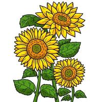 solros blomma tecknad färgad clipart vektor