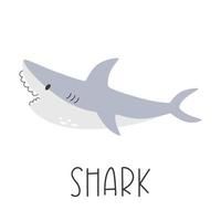 tecknad grå lekfull haj i platt stil. vektor illustration av ett rovdjur havsdjur