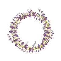 Lavendelblütenkranz auf weißem Hintergrund mit Platz für Ihr Etikett. Vektor-Illustration vektor