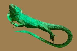 Eidechsenleguan in Low-Poly-Technik-Vektorillustration vektor