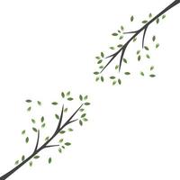 vektor gren, handritad illustration av trädgren formgivningsmall