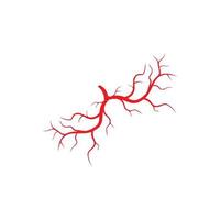 menschliche venen, rotes blutgefäßdesign und arterienvektorillustration lokalisiert vektor