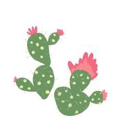 blommande kaktus illustration. handritad grön tropisk kaktus med rosa blomma vektor